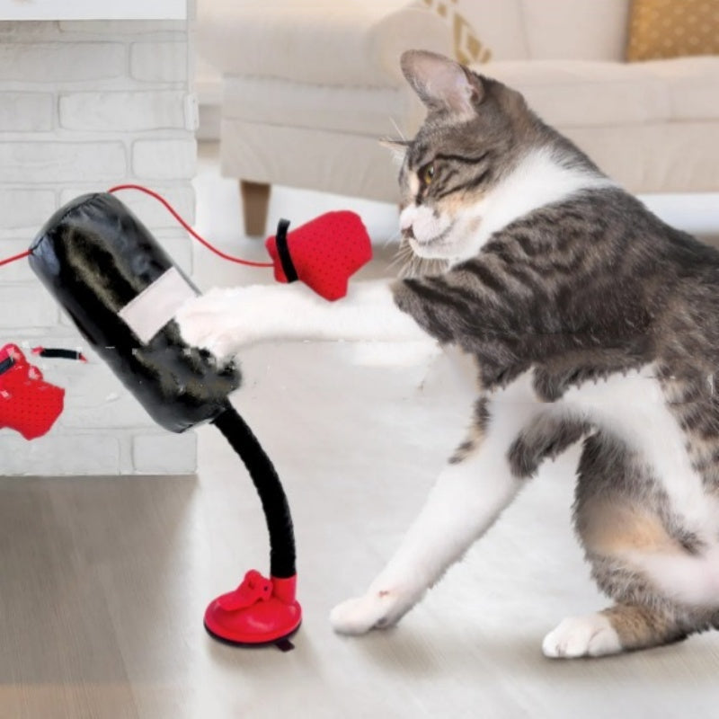 Pet furniture & accessories